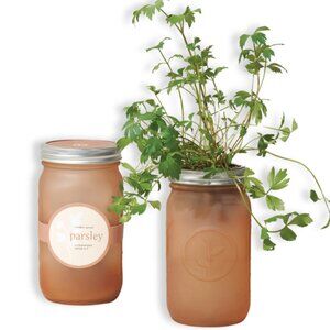 Modern Sprout - Garden Jar - Parsley